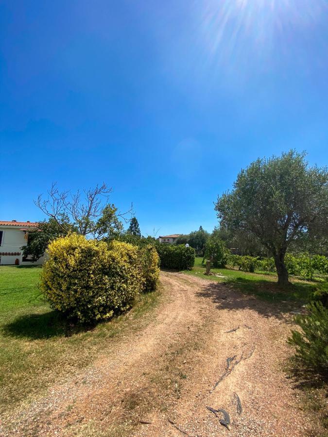 Villa Gladyr Lotzorai Exterior foto