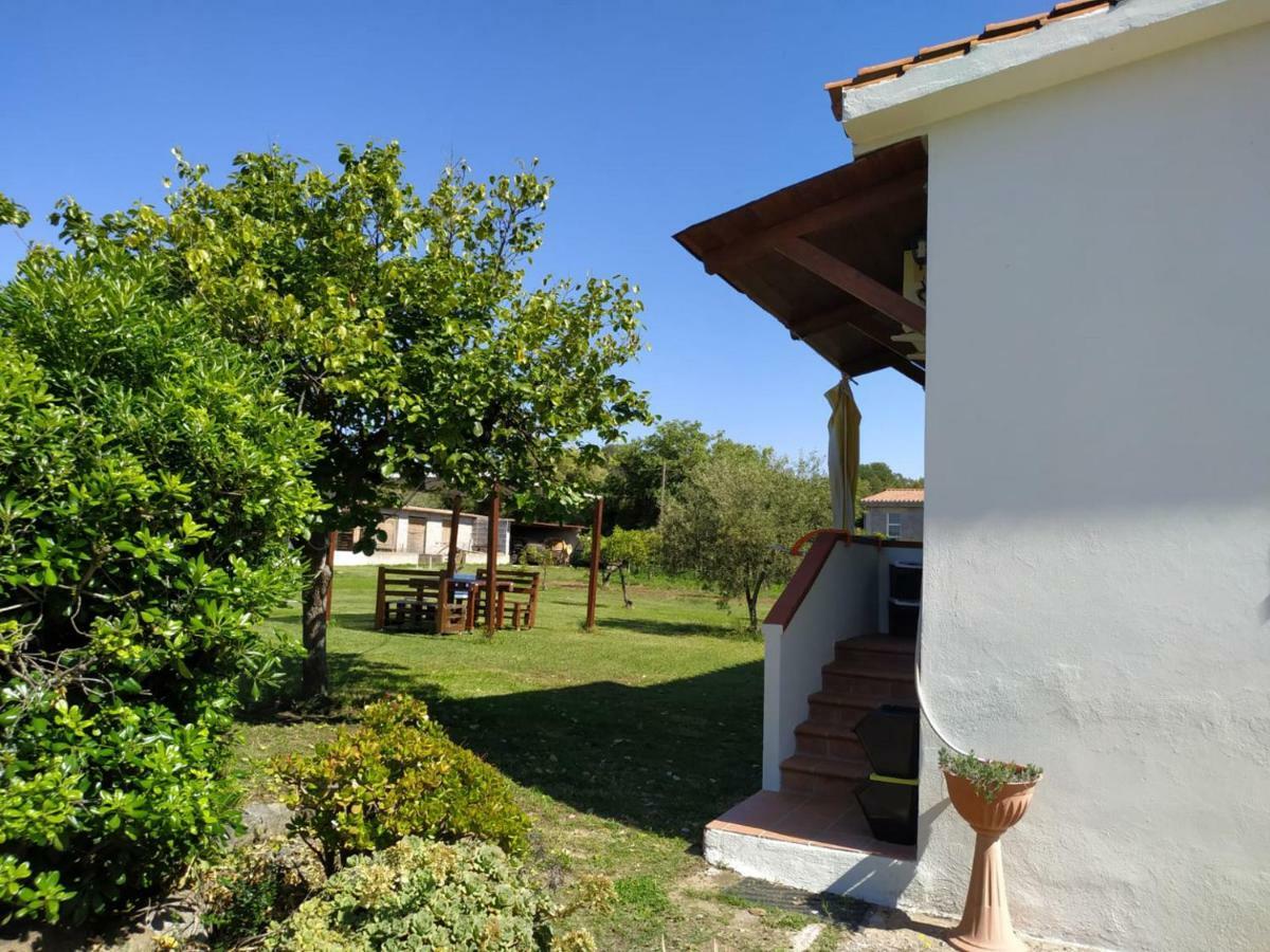 Villa Gladyr Lotzorai Exterior foto